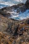 USA-California Montana de Oro State Park Art Print